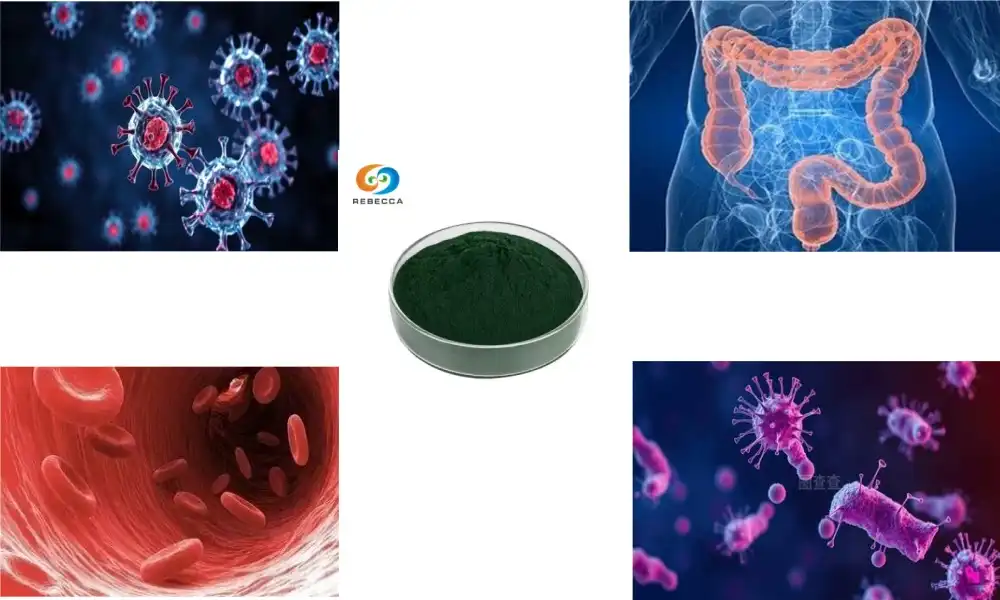 Can Chlorophyll Powder Improve Body Odor Naturally?